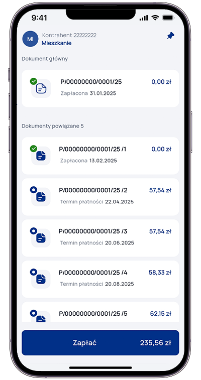Screen z Eboka faktury