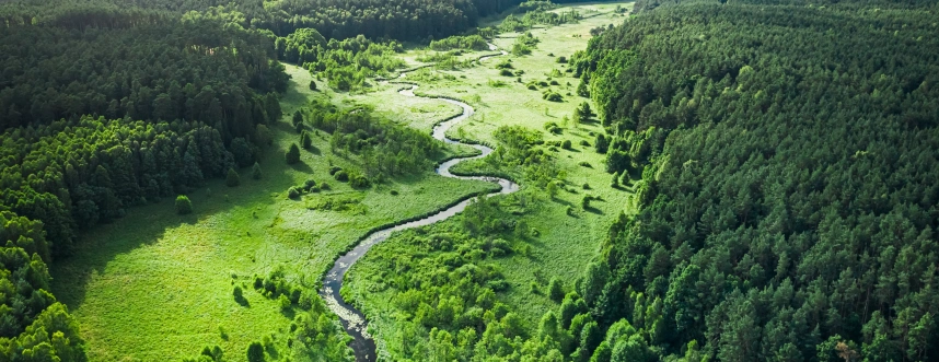 shutterstock_1931166497