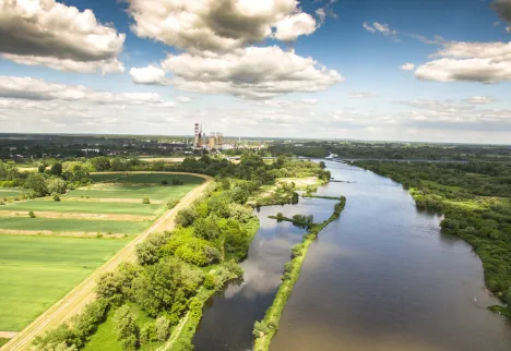 Widok na rzekę i drzewa
