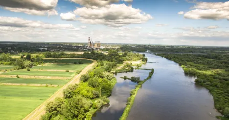 Widok na rzekę i drzewa