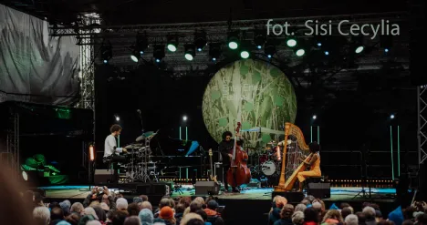 Enter Enea Festiwal przedstawienie