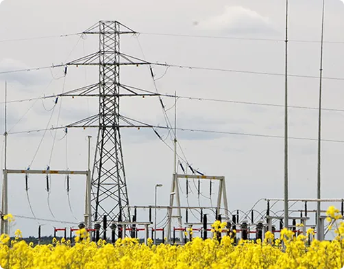 Relacje z lokalnymi społecznościami