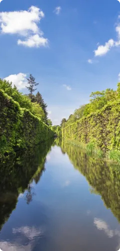 Rzeka pomiędzy drzewami