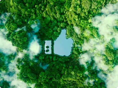 Jezioro w kształcie kciuka w górę pomiędzy drzewami